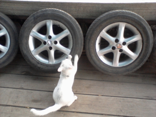 แม็คพร้อมยาง -ขอบ15 อัลติส 4รู100 4เส้นถูกๆ