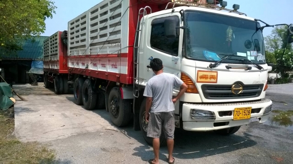 ขายรถฮีโนเม็กก้า260แม่ลูกไม่ดั้ม