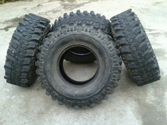 ขาย ตะขาบ35