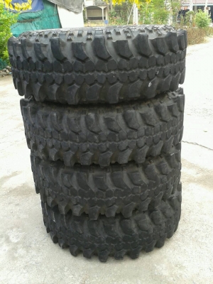 ขาย ตะขาบ35