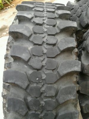 ขาย ตะขาบ35