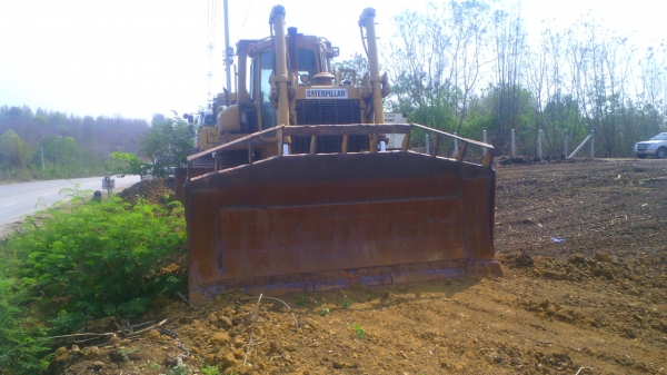 แค๊ต ดี ๗ เฮท ชอบราคาเท่าไร ต่อรองกันได้ครับ