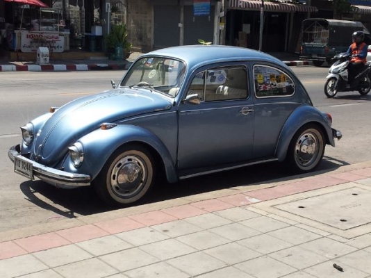 ขาย เต่า 1969