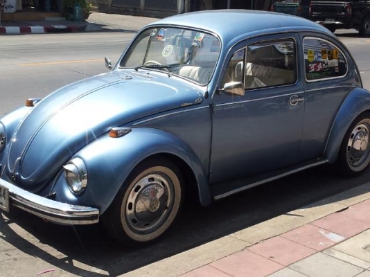 ขาย เต่า 1969