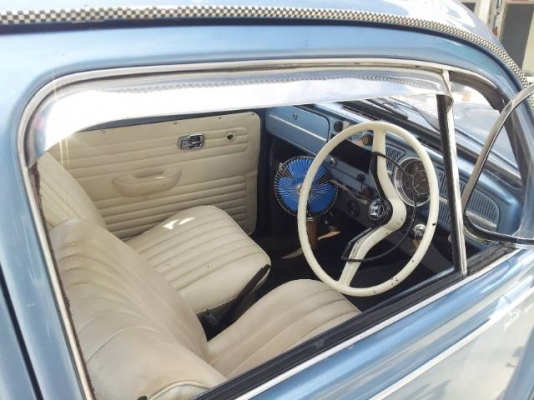 ขาย เต่า 1969