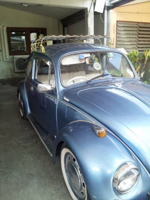 ขาย เต่า 1969