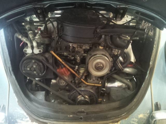 ขาย เต่า 1969