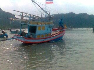 ขายด่วนเรือไดหมึก