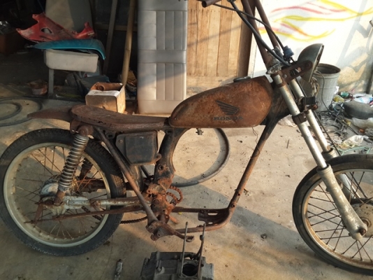 ขาย xl100 โปรเจคโอลสคูล 55000