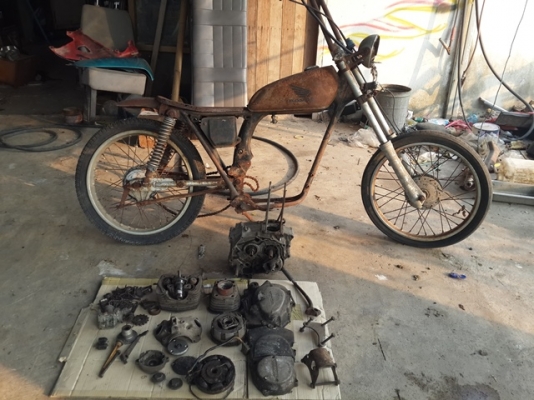 ขาย xl100 โปรเจคโอลสคูล 55000