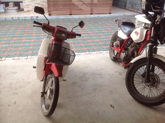 ดรีมตูดเป็ดคุรุสภาทะเบียนเดิมๆทั้งคันพร้อมขี่ราคาถูกจ้า