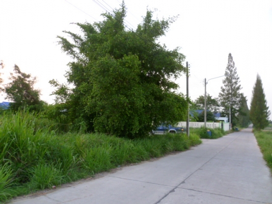 ขายมิตซูบิ สตราด้าแค๊ป โฟวิล  สีเดิม ขายตามสภาพ