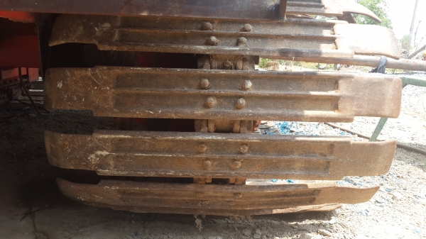 ขายใบแทรกและหัวดาววรพจน์การช่าง