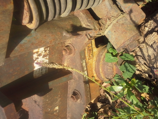 ผาน  7  ของCMTของฟอต