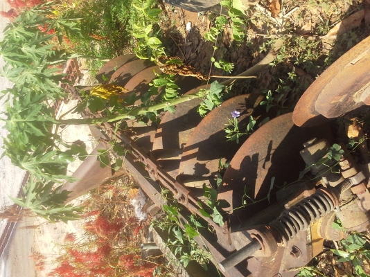 ผาน  7  ของCMTของฟอต