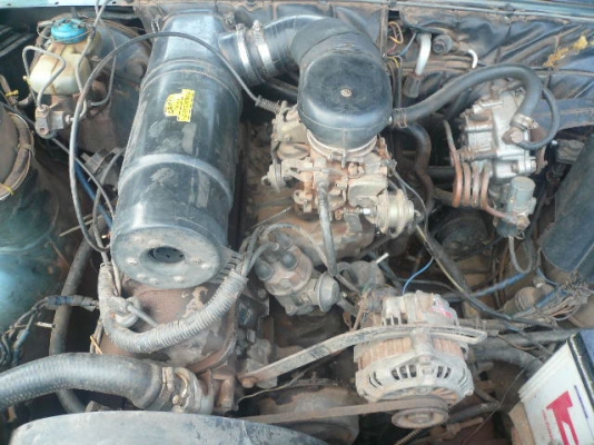 ขาย เปอ์โย505