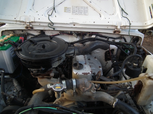 ขายคารีเบียน ขายคารีเบียน