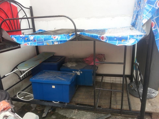 ขายเตียง 2ชั้น  สภาพดี