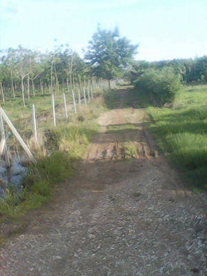 ขายที่ดิน