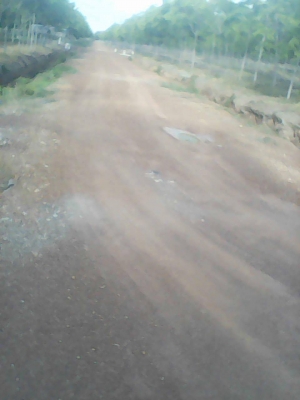 ขายที่ดิน