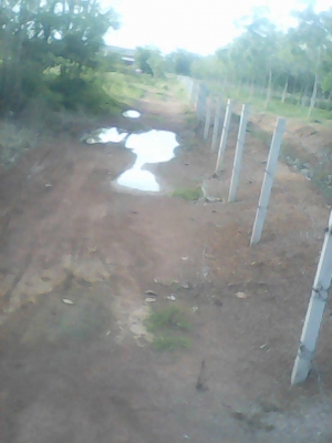 ขายที่ดิน