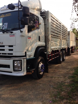 ขายดาวคับ