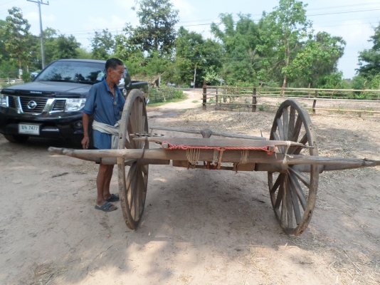 ขายเกวียนโบราณไม้พยุงเกือบทั้งหลังเริ่มจะหายากแล้วครับ เกวียนสภาพดีสภาพเกือบสมบูรณ์เก่าเก็บของผูเต่าแถวบ้านครับ  เปิดที่11000บาทครับ....สนใจติดต่อ 0801696651 อยู่อำนาจเจริญครับ