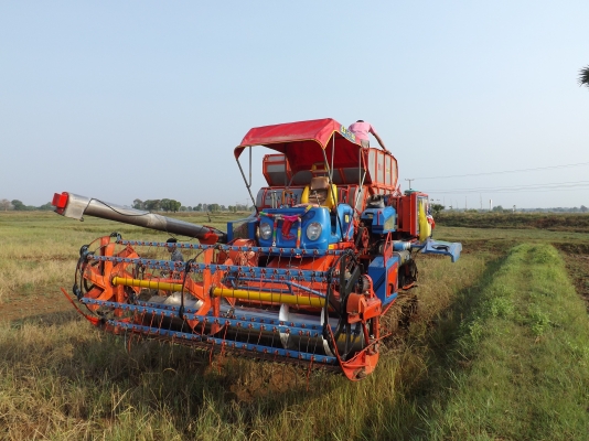 ขายรถเกี่ยวศักดิ์พัฒนา ss501 MARK.2 สภาพพร้อมใช้งาน