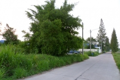 ให้เช่าที่ดินเปล่าตั้งเสาโทรศัพท์ 80000 บาท ต่อปี  ตำบลคลองกิ่ว อำเภอบ้านบึง ชลบุรี