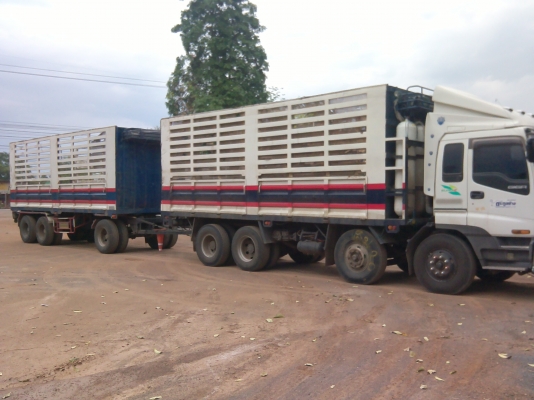 ยกเลิกขาย