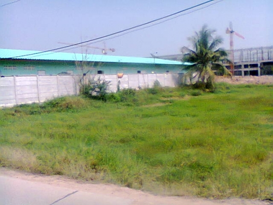 ขายที่ดิน อ.เขาย้อย จ.เพชรบุรี (ติดโรงงานแคลคอม) มี1ไร่ครับ