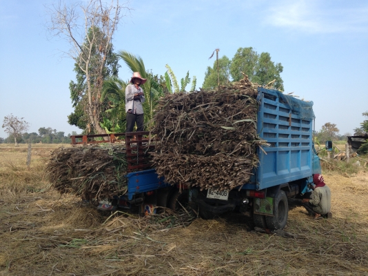 ขายรถ6ล้อ ที่บ้านมีอยู่ 2คัน ครับ ถูกๆ  โทร  0918072746  อุ๊