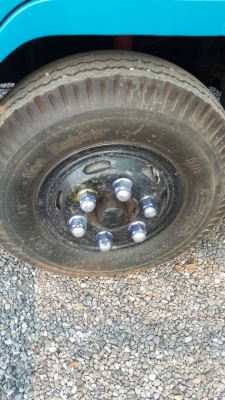 CANTER115แรงม้าสวยมากน่าใช้