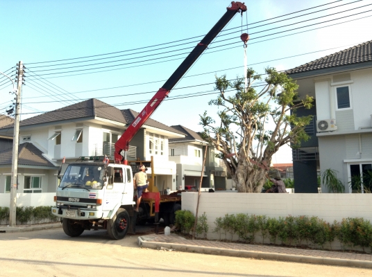 เครนติดหลังรถบรรทุก