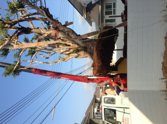 เครนติดหลังรถบรรทุก