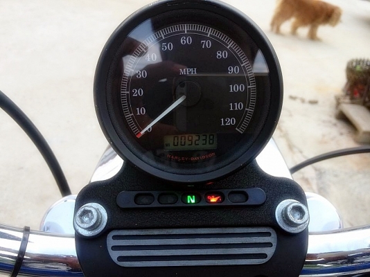 XL 883 L ปี2008 1HD ทะเบียนพร้อมโอน