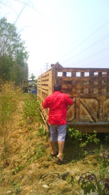 กะบะดั้มโคราช ครบชุด สภาพพร้อมใช้งาน ลดราคาพิเศษจาก 150,000 บาท