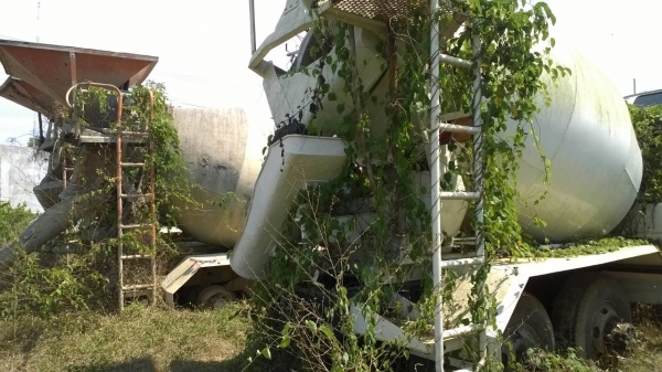 (มี4เหลืออีก2คัน) NISSAN UD CW51และCW41 10ล้อโม่ปูนรถดีแค่จอดไว้.. เครื่อง8สูบ รถจอดแต่สภาพยังดี...เช็คสภาพก็ใช้งานได้ เล่มพร้อม