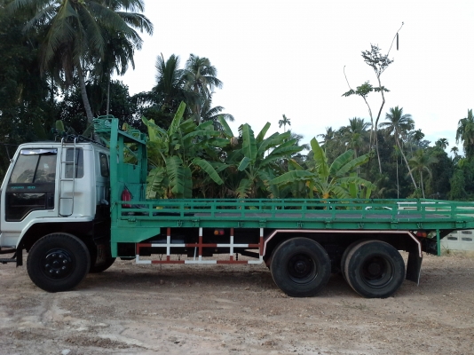 สิบล้อกระบะเหล็ก คอกเตี้ย