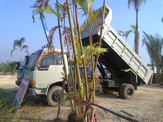 ขายด่วน!..รถหกล้อสวย HINO FB สวยเด็ดขาด ทั้งคัน.