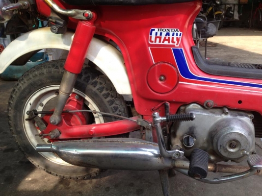 ขาย ชาลี เดิมๆ