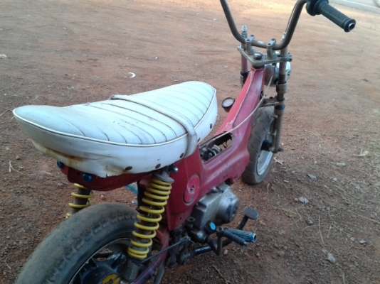 ขายชาลียืนคัน