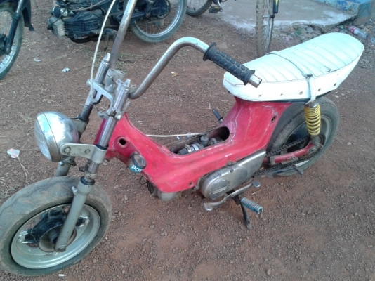 ขายชาลียืนคัน