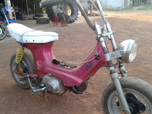 ขายชาลียืนคัน