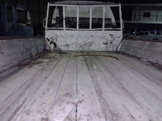 ขาย6ล้อ2คันราคาถูก