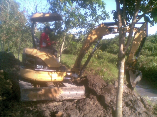 ขายรถขุดเล็ก CAT 303CR