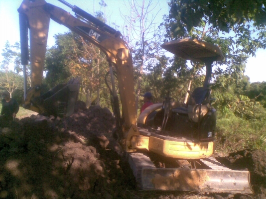 ขายรถขุดเล็ก CAT 303CR