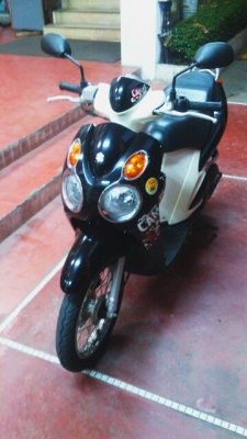 Jelato ปี 2011 ถูกๆ ต่อลองได้