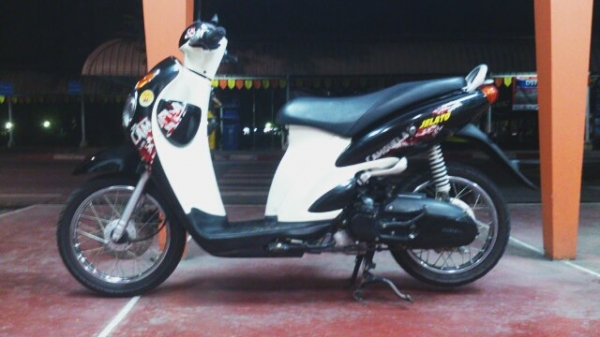 Jelato ปี 2011 ถูกๆ ต่อลองได้