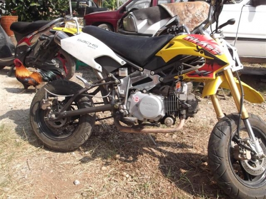 ขาย Sachs125 CC. สต๊าทมือ/เท้า มีเล่มทะเบียนรถใช้งาน 2 ปี (จัดส่งได้ครับ)
